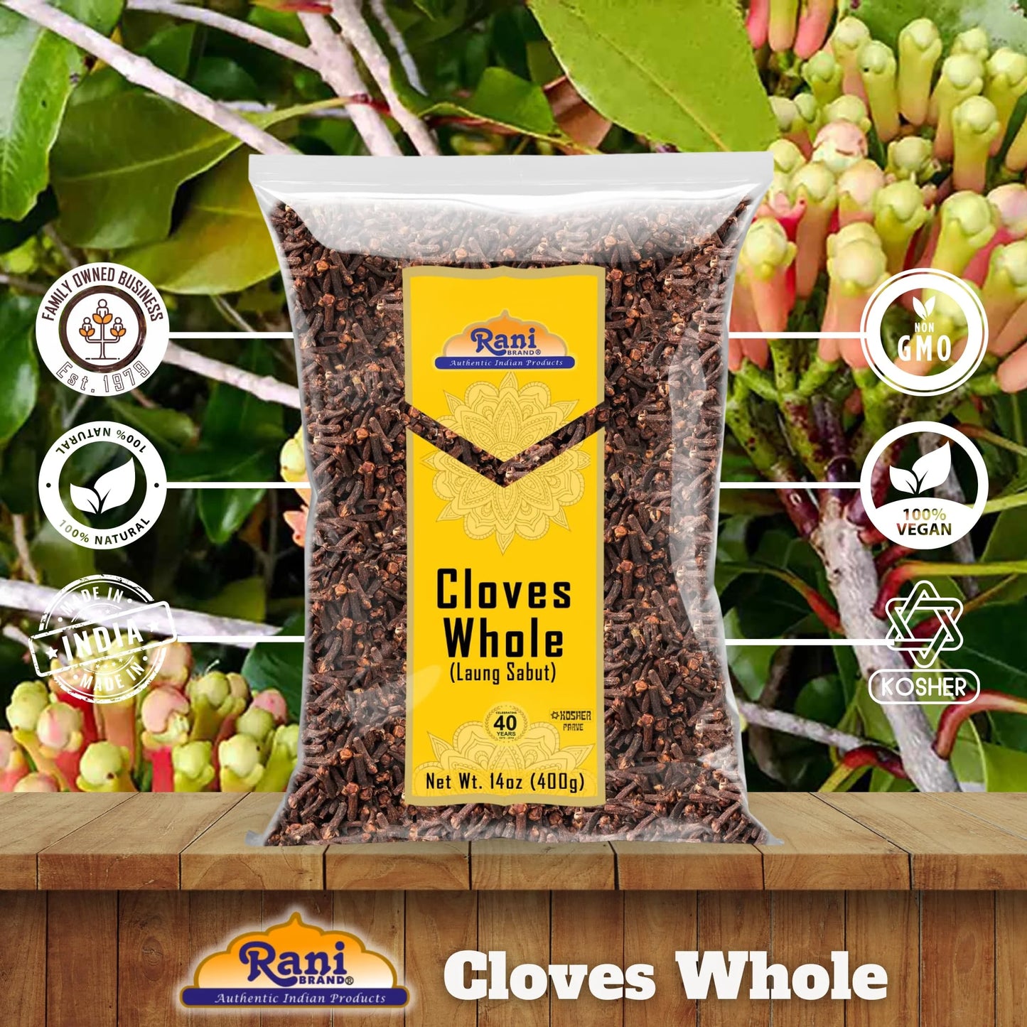 Rani Cloves Whole (Laung) 14Oz (400G) Great for Food, Tea, Pomander Balls and Potpourri, Hand Selected, Spice ~ All Natural | NON-GMO | Kosher | Vegan | Gluten Friendly | Indian Origin