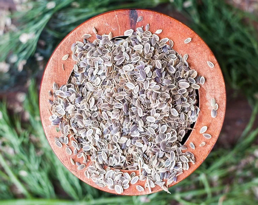 Dill Seeds, 0.5 Pounds — Kosher, Raw, Vegan — by