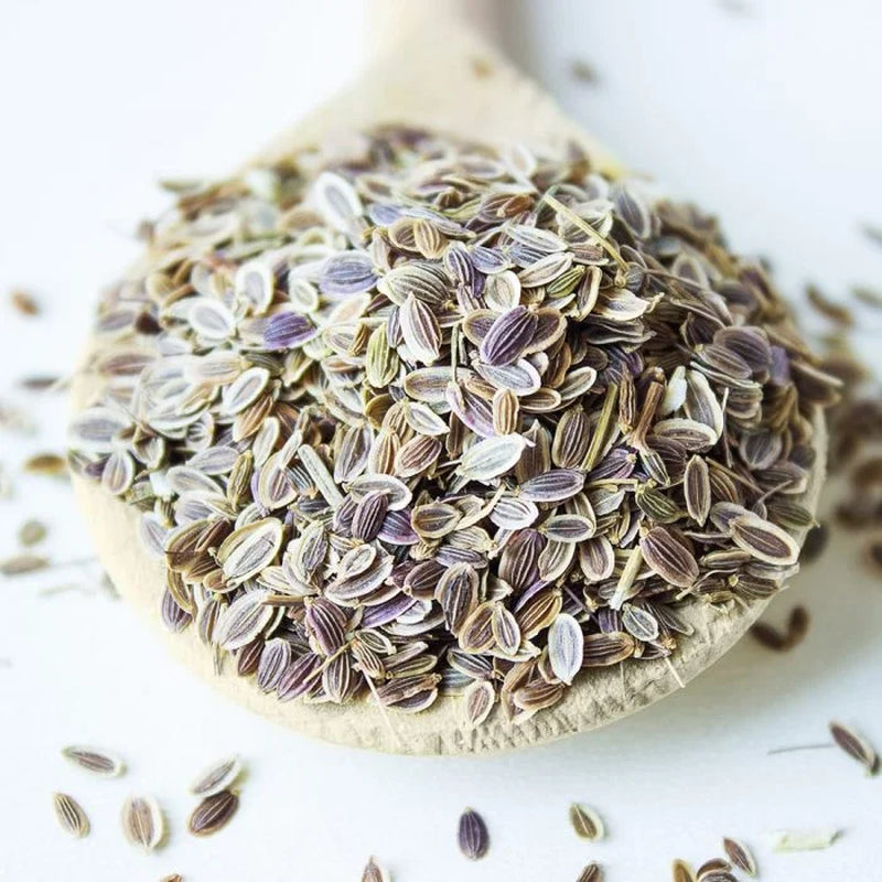 Dill Seeds, 0.5 Pounds — Kosher, Raw, Vegan — by