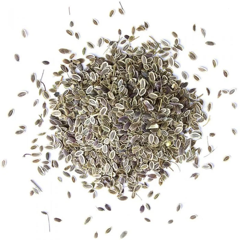 Dill Seeds, 0.5 Pounds — Kosher, Raw, Vegan — by