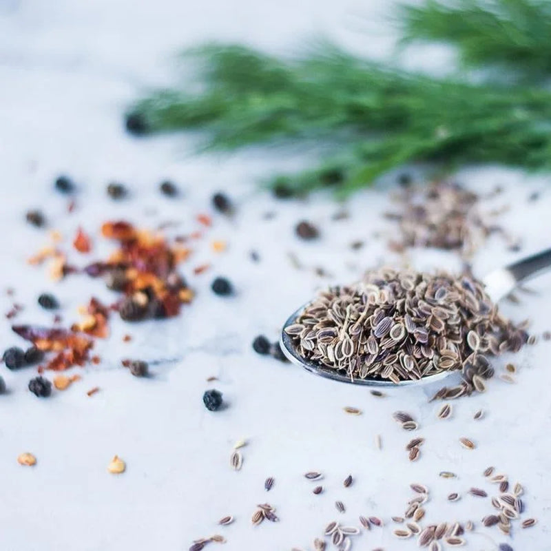 Dill Seeds, 0.5 Pounds — Kosher, Raw, Vegan — by